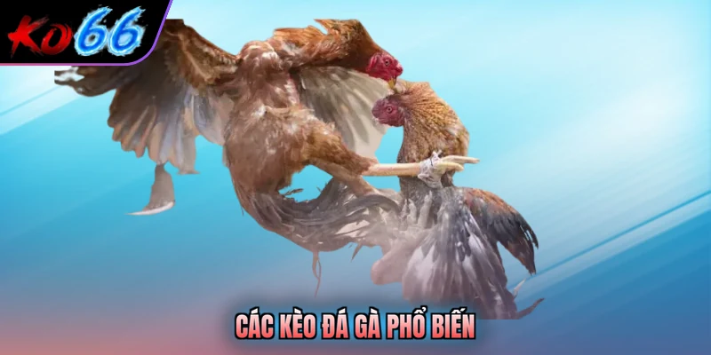 Các kèo đá gà phổ biến
