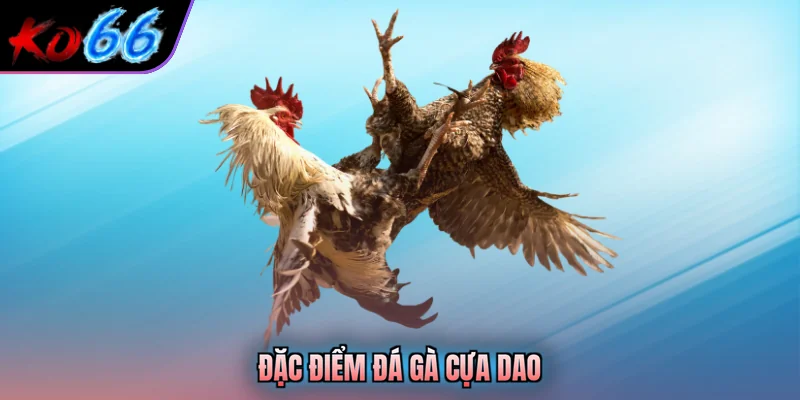 Đặc điểm đá gà cựa dao