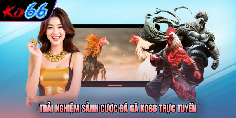 Trải nghiệm sảnh cược đá gà KO66 trực tuyến 